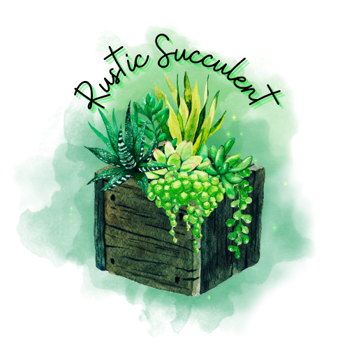 Rustic Succulent